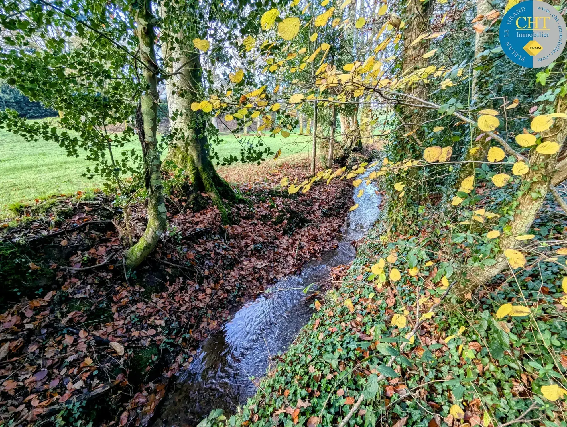 Terrain boisé à Monteneuf - 1 025 m² à vendre 