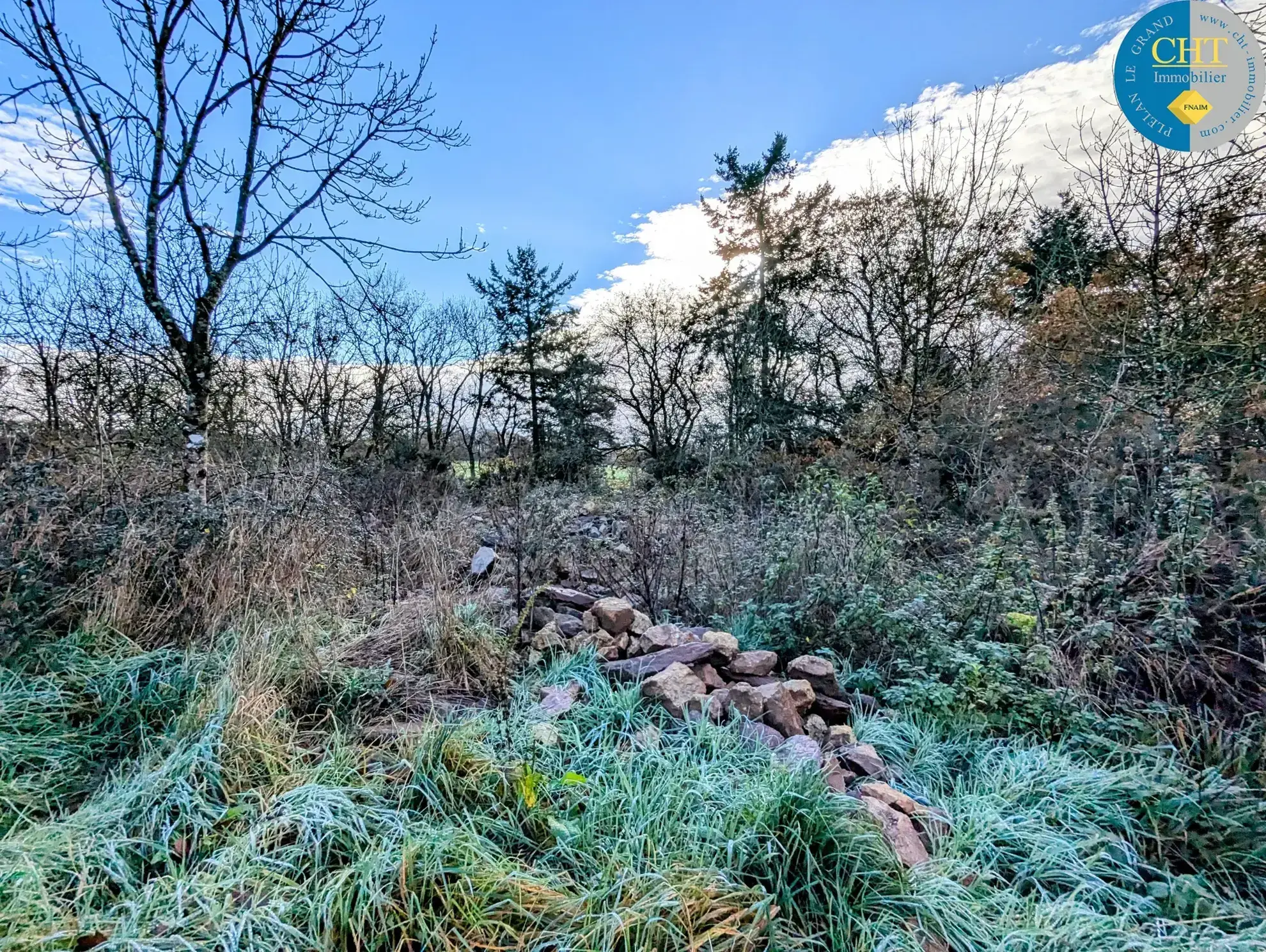 Terrain boisé à Monteneuf - 1 025 m² à vendre 