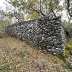 Terrain de loisir de 1543 m² avec ruine à St Vallier de Thiey