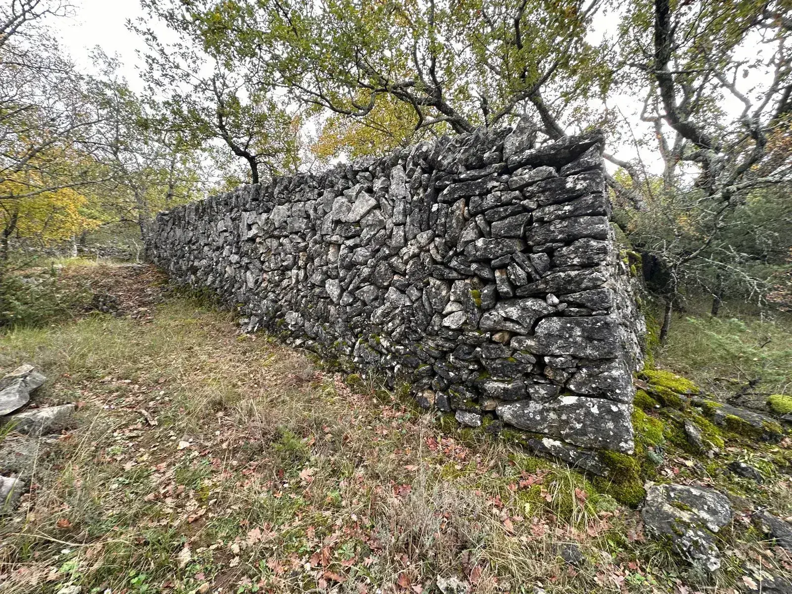 Terrain de loisir de 1543 m² avec ruine à St Vallier de Thiey 