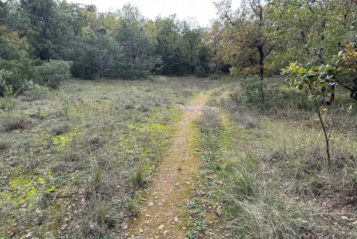 Terrain de loisir de 1543 m² avec ruine à St Vallier de Thiey 