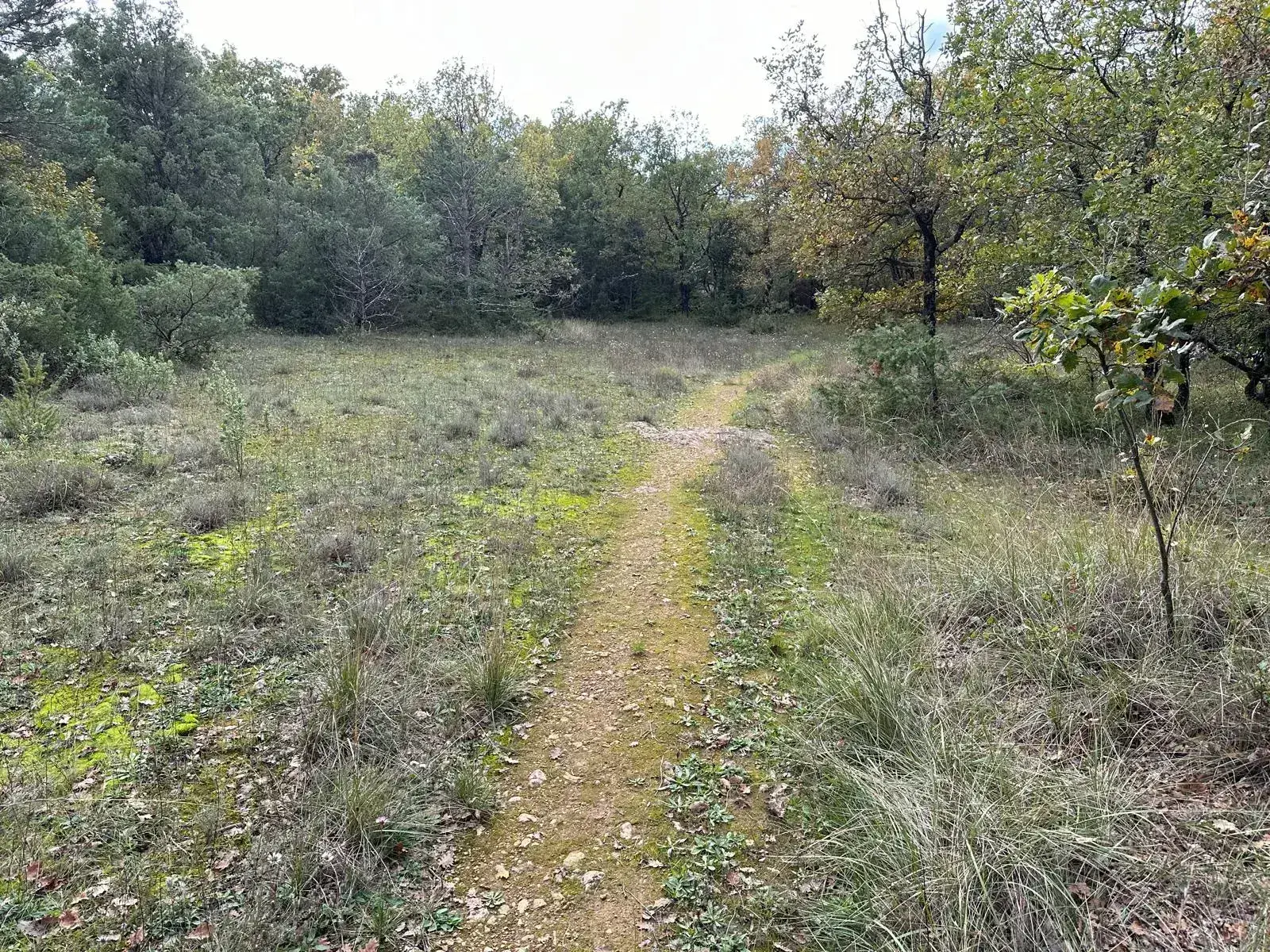 Terrain de loisir de 1543 m² avec ruine à St Vallier de Thiey 