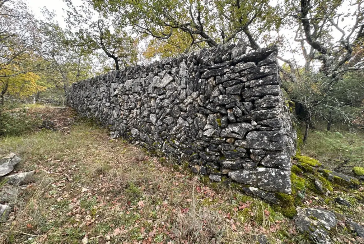 Terrain de loisir de 1543 m² avec ruine à St Vallier de Thiey 