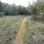 Terrain de loisir de 1543 m² avec ruine à St Vallier de Thiey