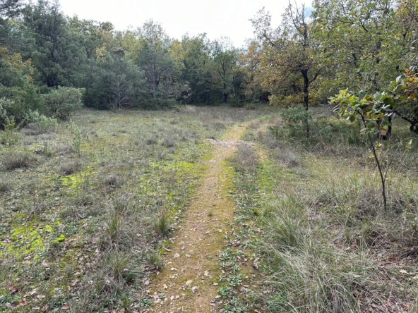 Terrain de loisir de 1543 m² avec ruine à St Vallier de Thiey