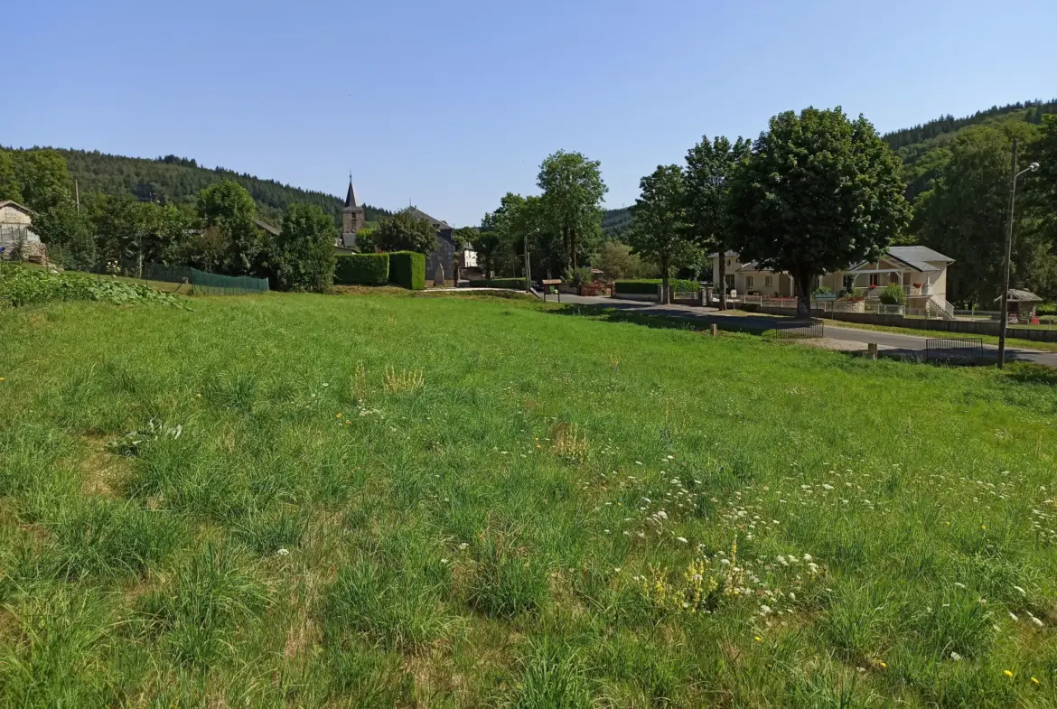 Terrain Constructible à La Salvetat-sur-Agout - 46 550 EUR 