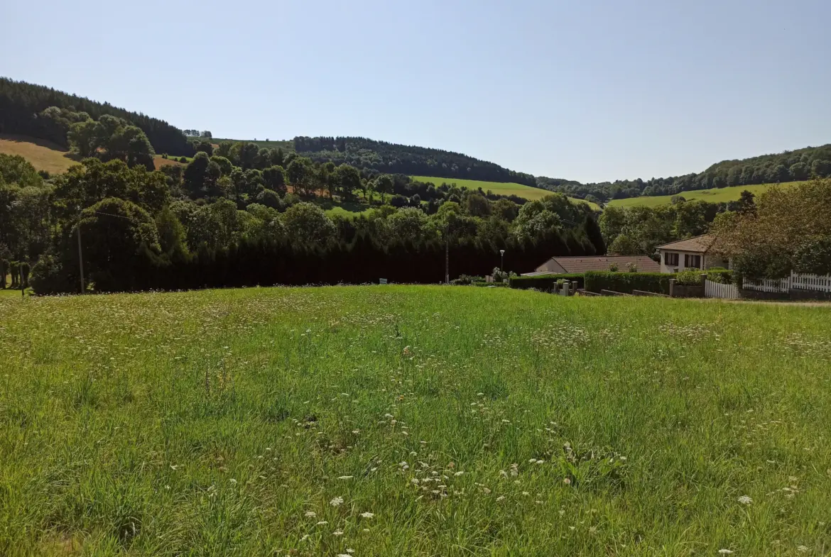 Terrain Constructible à La Salvetat-sur-Agout - 46 550 EUR 