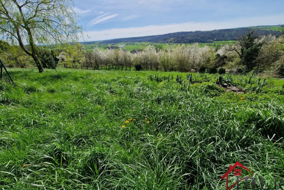 Maison 144 m² avec vue panoramique - Laferte sur Amance 