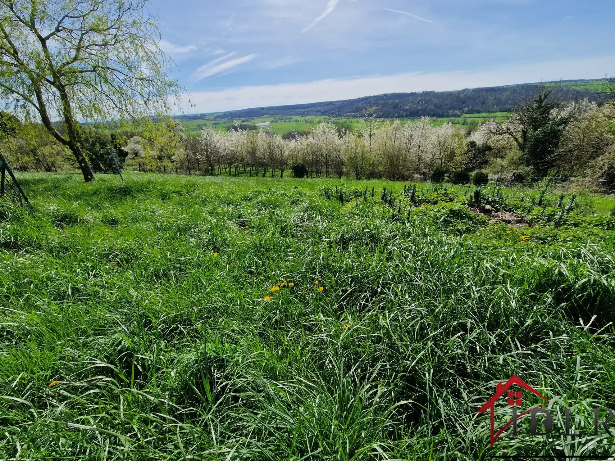 Maison 144 m² avec vue panoramique - Laferte sur Amance 