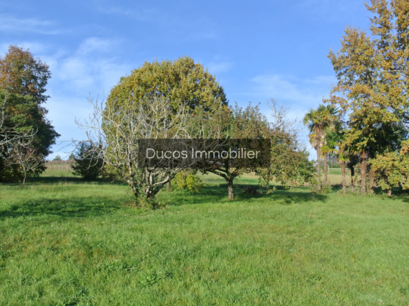 Terrain à bâtir à Beaupuy - Opportunité Rare