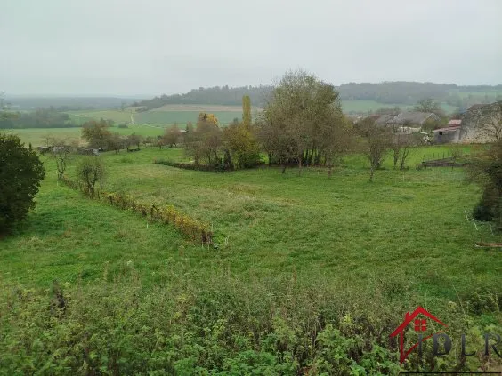 Maison de village à vendre à Godoncourt avec vue imprenable 