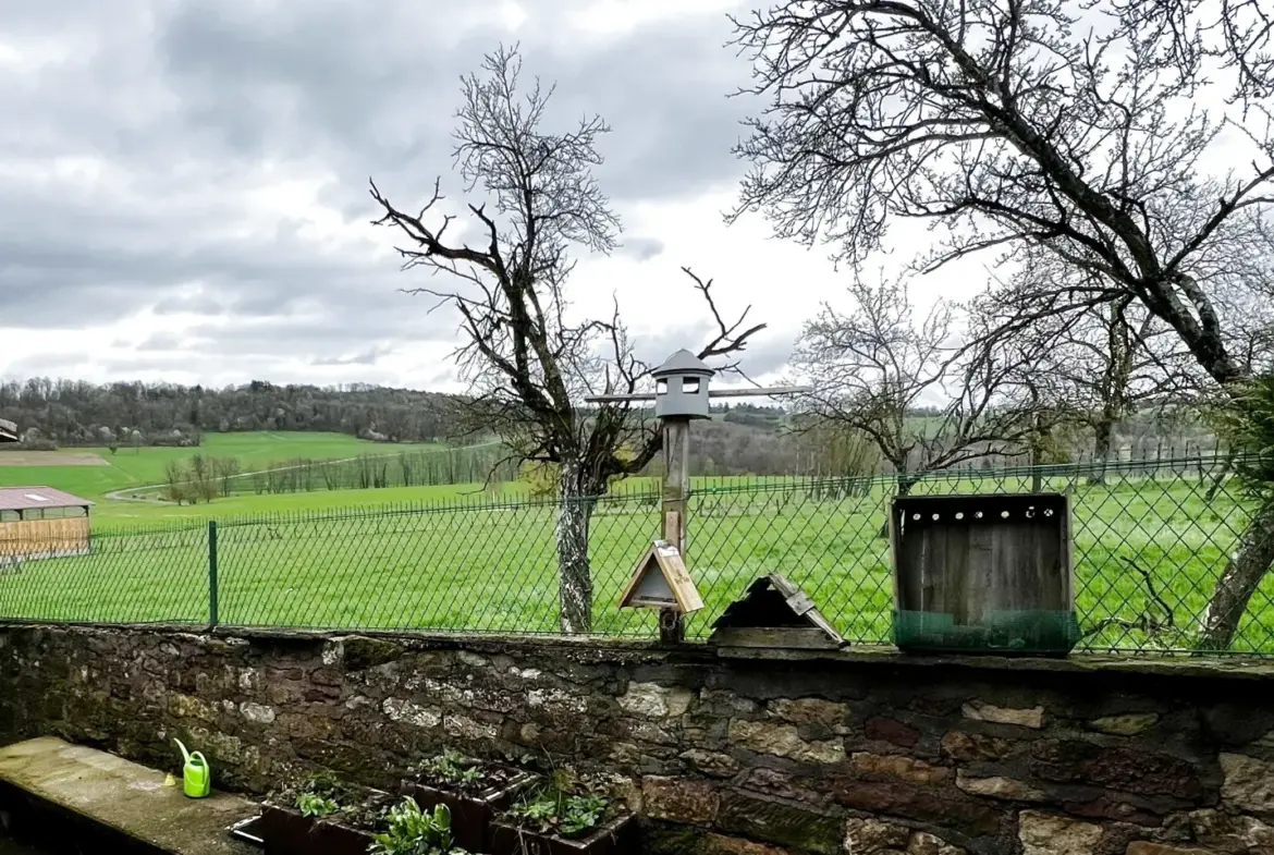 Maison de village à vendre à Godoncourt avec vue imprenable 