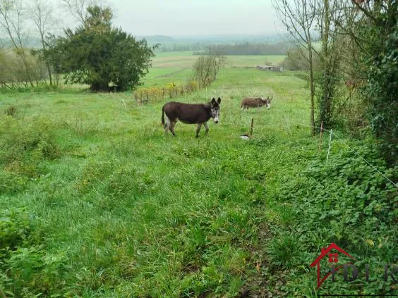 Maison de village à vendre à Godoncourt avec vue imprenable 