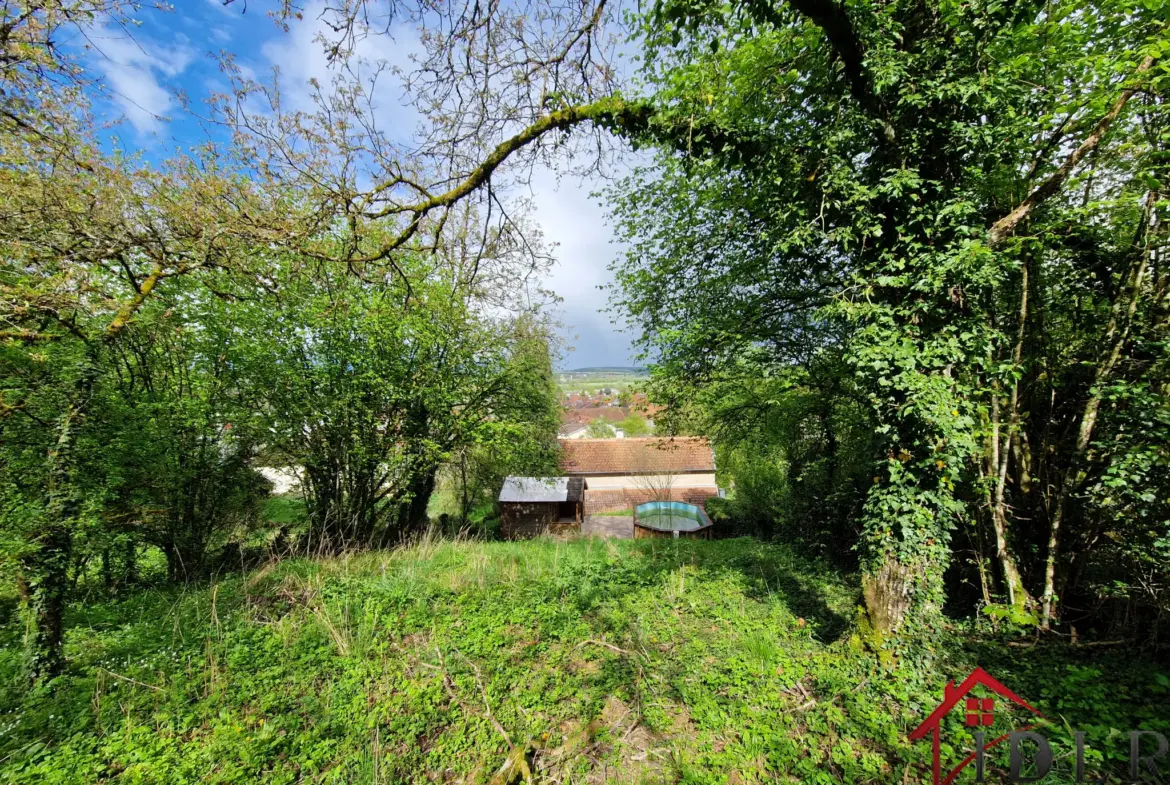 Maison à rénover avec vue panoramique à Jussey 