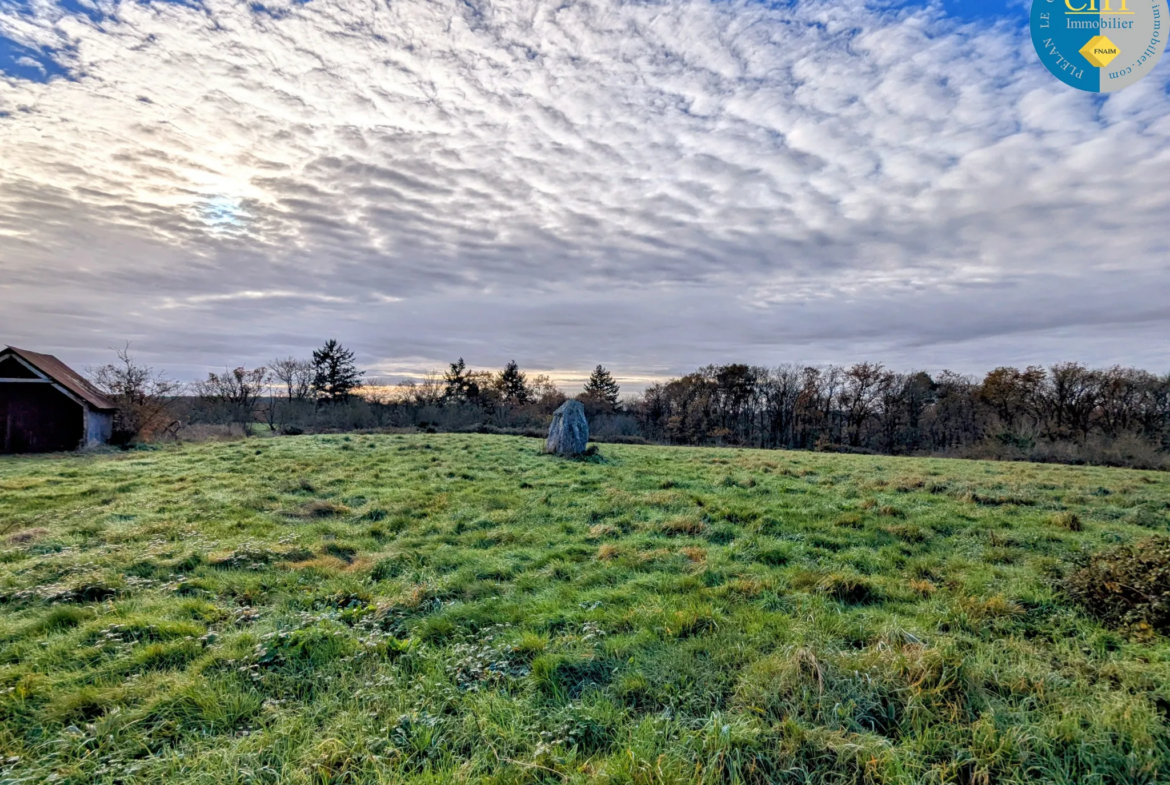 Terrain à bâtir hors lotissement à Monteneuf - 922 m2 à 15 100 € 