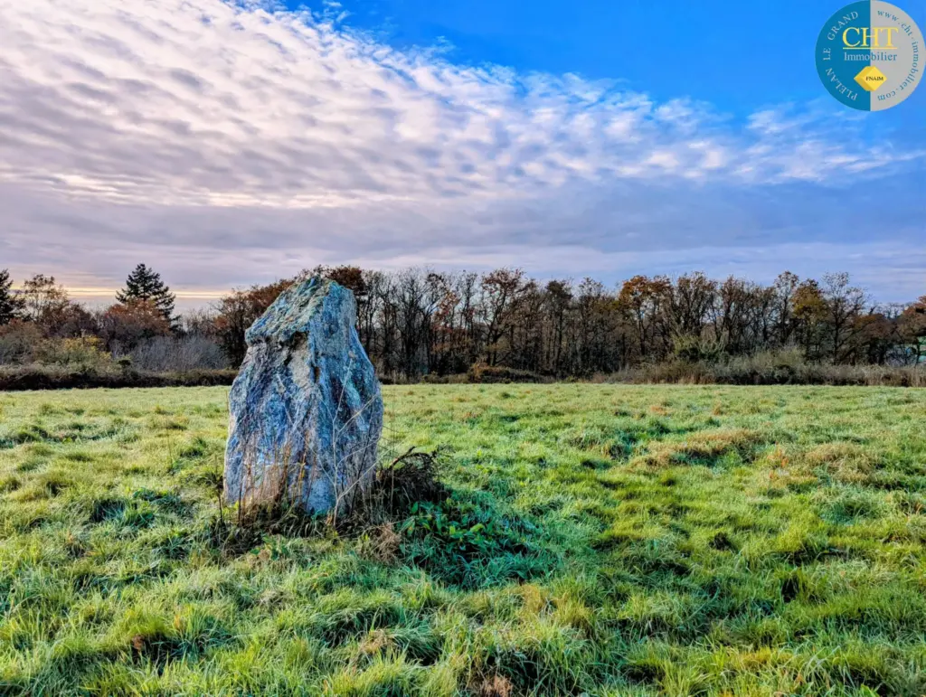 Terrain à bâtir hors lotissement à Monteneuf - 922 m2 à 15 100 €