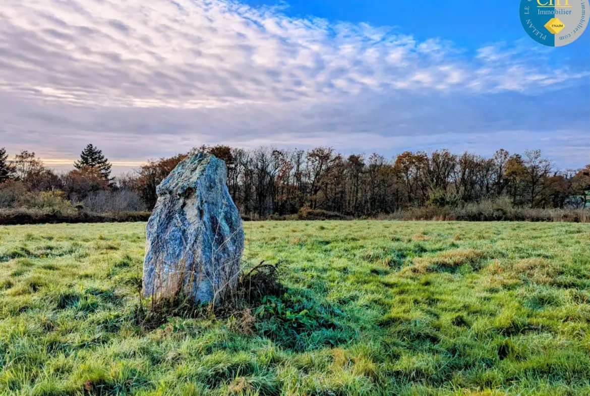 Terrain à bâtir hors lotissement à Monteneuf - 922 m2 à 15 100 € 