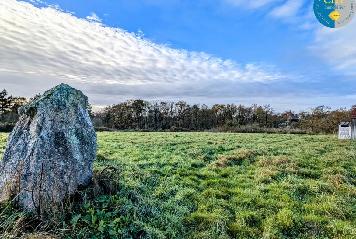 Terrain à bâtir hors lotissement à Monteneuf - 922 m2 à 15 100 € 