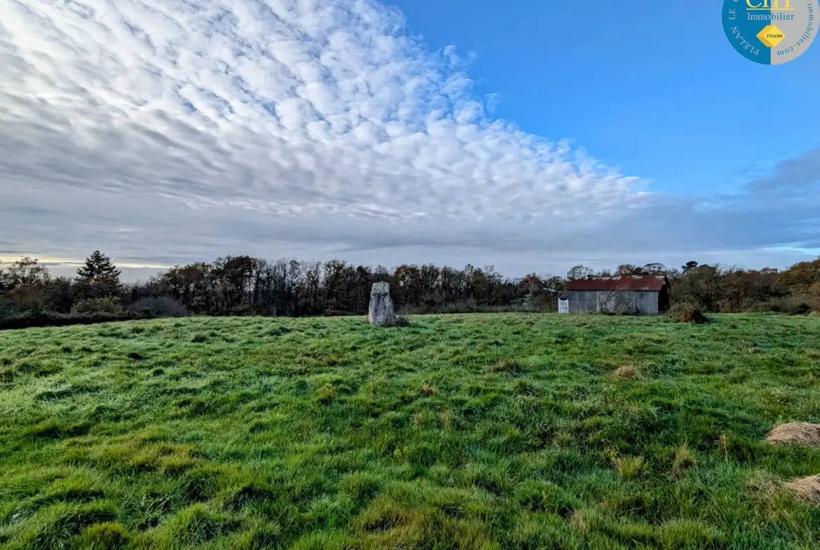 Terrain à bâtir hors lotissement à Monteneuf - 922 m2 à 15 100 € 