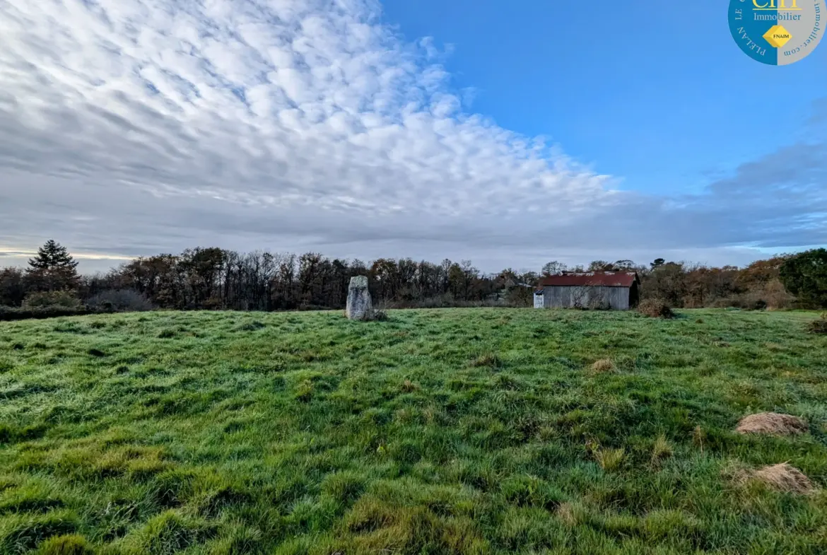 Terrain à bâtir hors lotissement à Monteneuf - 922 m2 à 15 100 € 