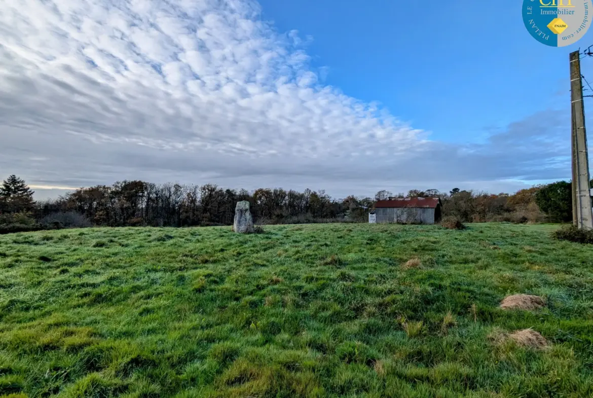 Terrain à bâtir hors lotissement à Monteneuf - 922 m2 à 15 100 € 