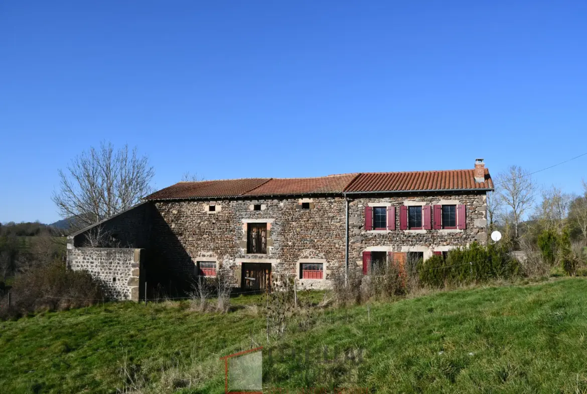 Ancien corps de ferme rénové à vendre à Céaux d'Allègre 