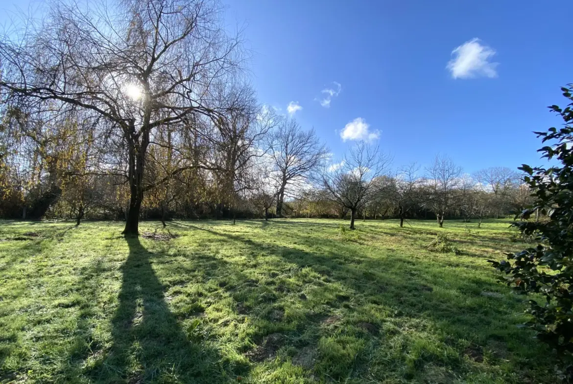 Maison contemporaine T4/5 de 115 m² à Monein - Environnement Intime 