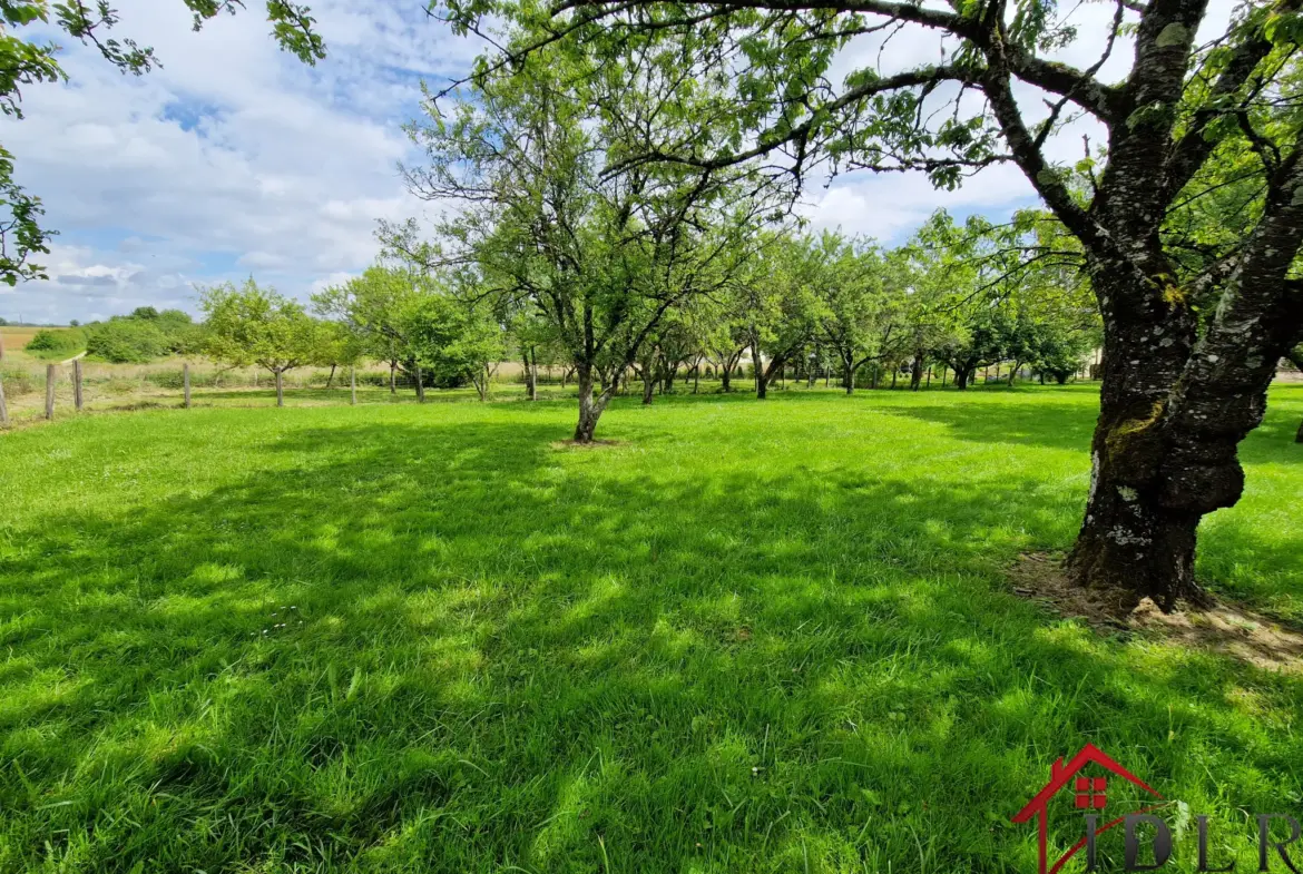 Pavillon de 190 m² avec jardin à Guyonvelle 