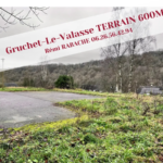 Terrain constructible de 600 m² à vendre à Gruchet-le-Valasse