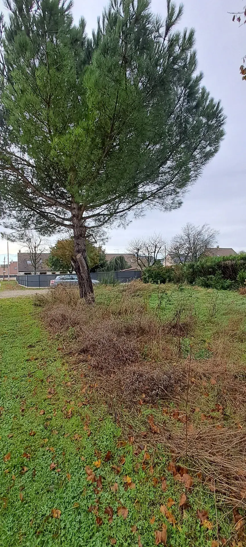 Terrain à bâtir de 551 m² à Angerville - 93 000 EUR 