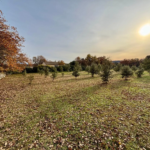 Terrain à bâtir de 1308 m² à Grignan en Drôme Provençale