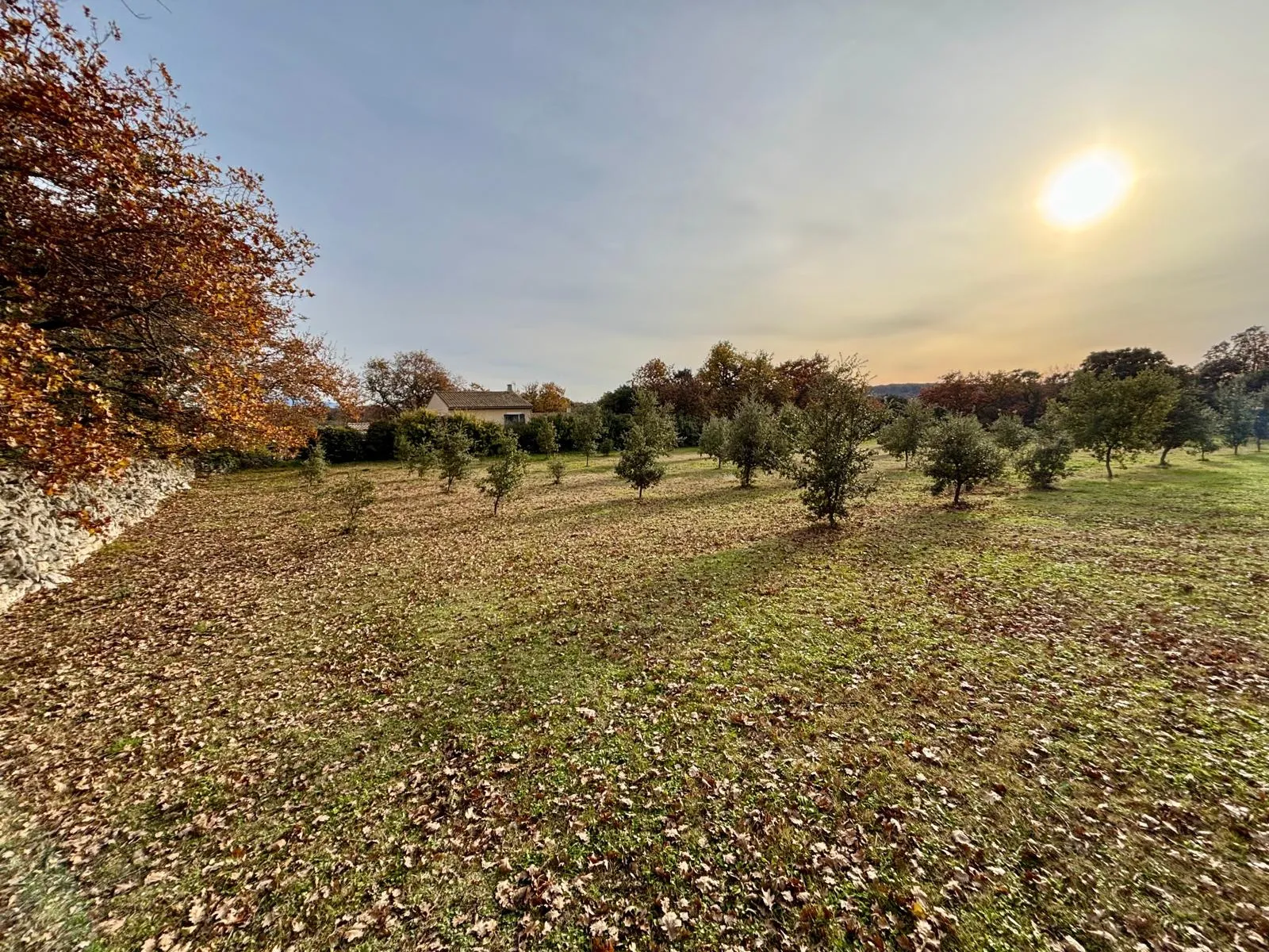 Terrain à bâtir de 1308 m² à Grignan en Drôme Provençale 