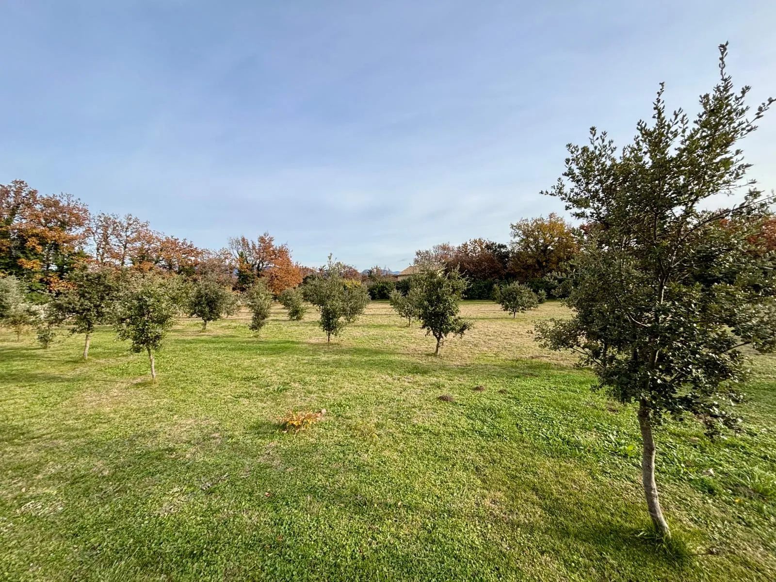 Terrain à bâtir de 1308 m² à Grignan en Drôme Provençale 