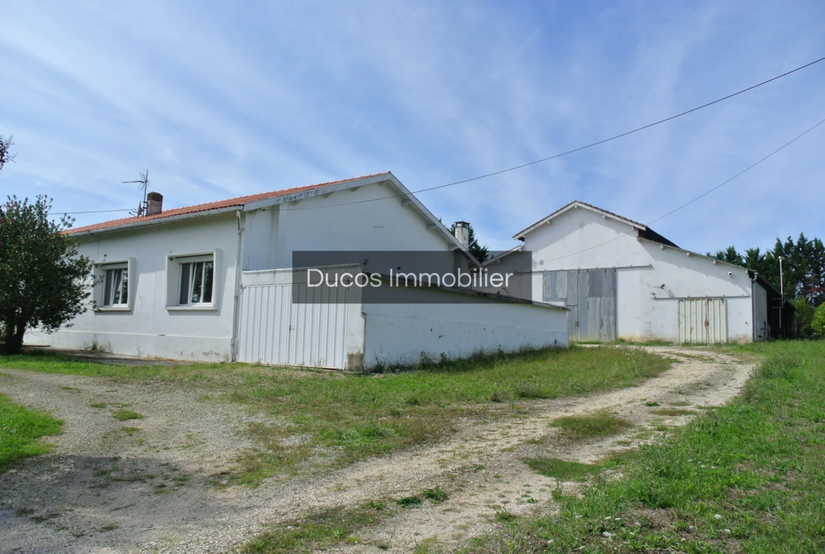 Maison avec 4 chambres et 2,8 hectares de terrain à Virazeil 