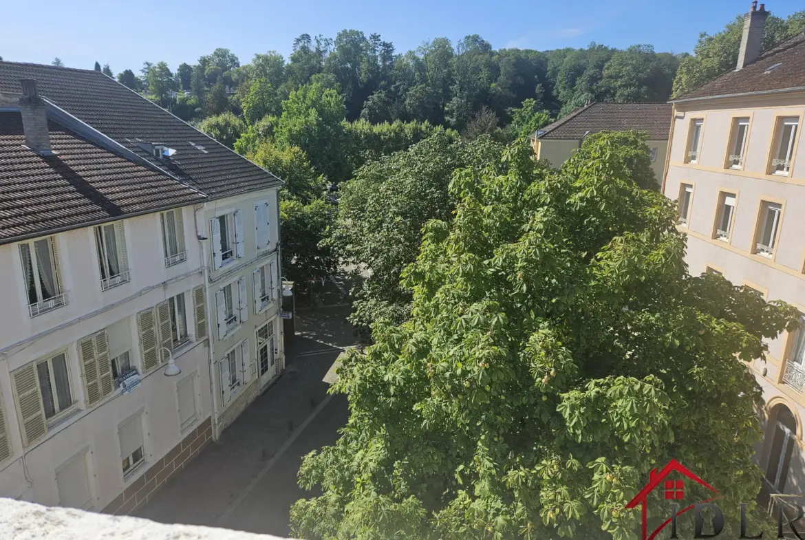 Immeuble de prestige à Bourbonne-les-Bains - 106 m² 