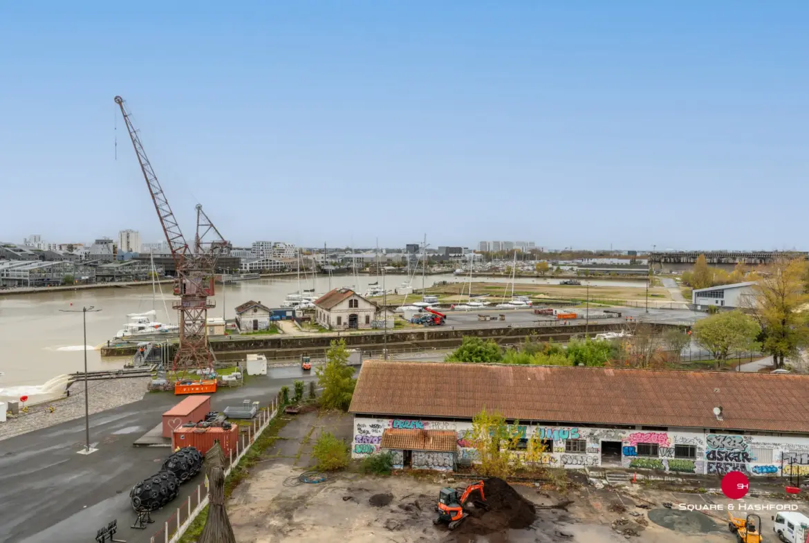 Duplex lumineux avec vue dégagée sur les bassins à flot à Bordeaux 