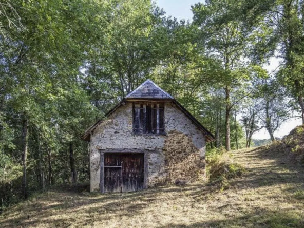 Grange foraine à vendre à Astugue - 65200