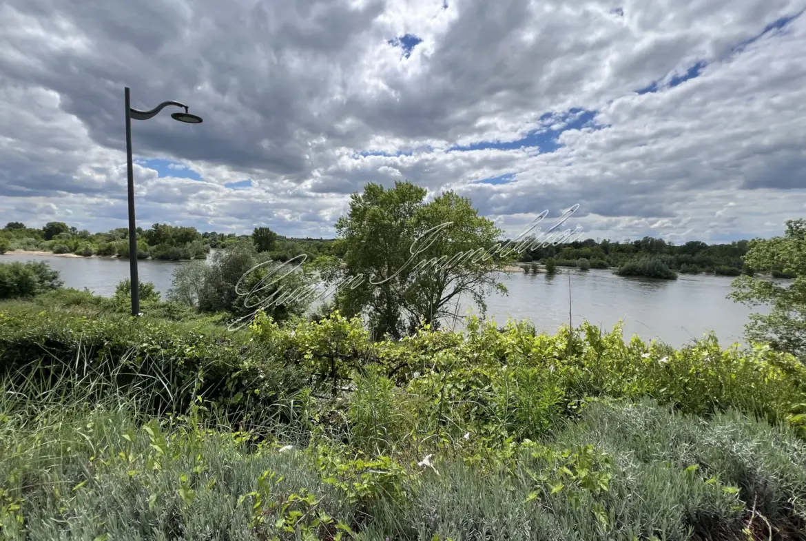 Maison familiale avec vue sur la Loire à La Charité-sur-Loire 