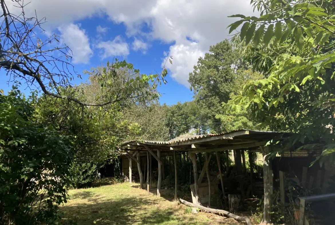 Grande maison à vendre à Trois-Vèvres avec jardin spacieux 