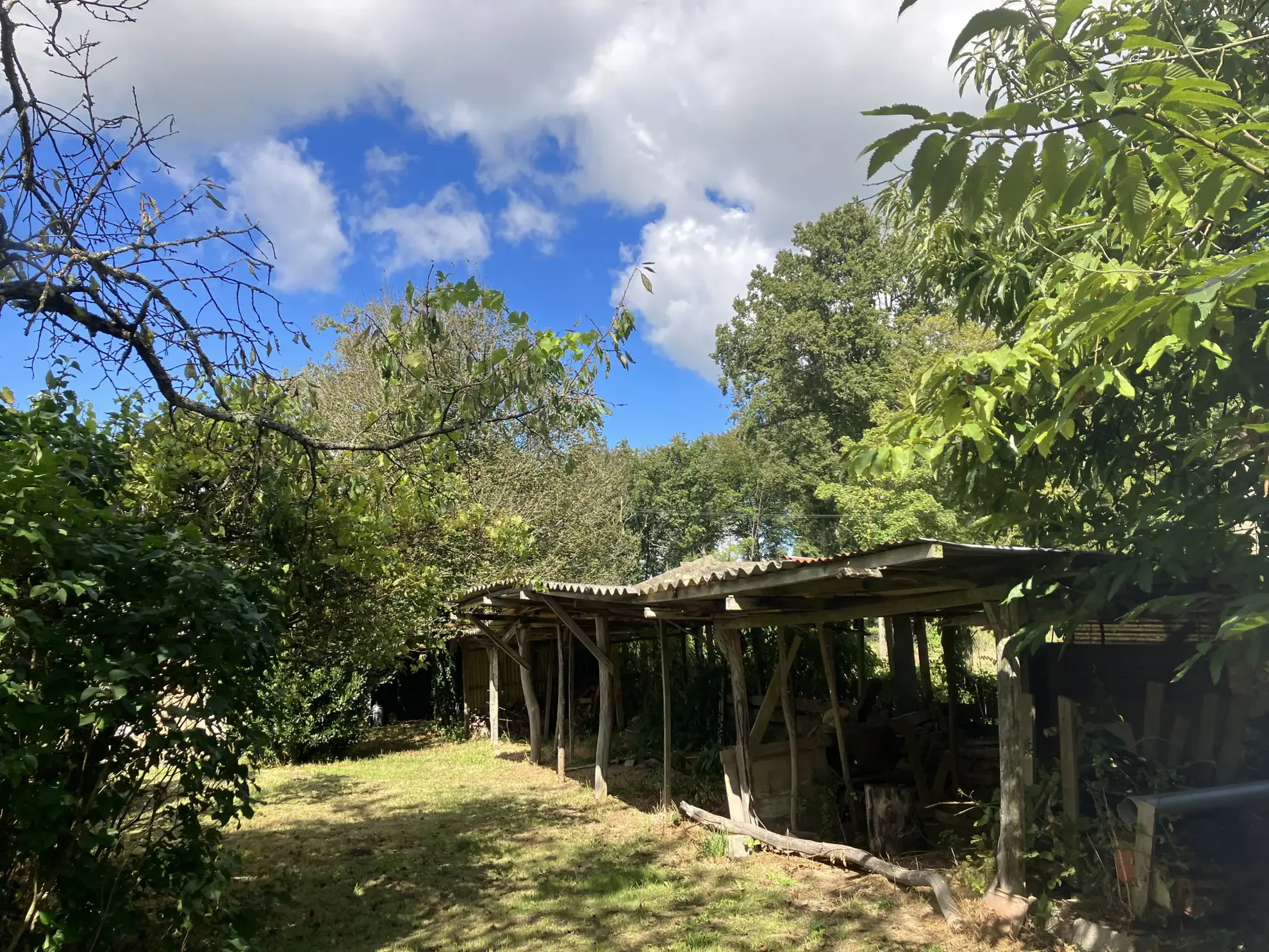 Grande maison à vendre à Trois-Vèvres avec jardin spacieux 