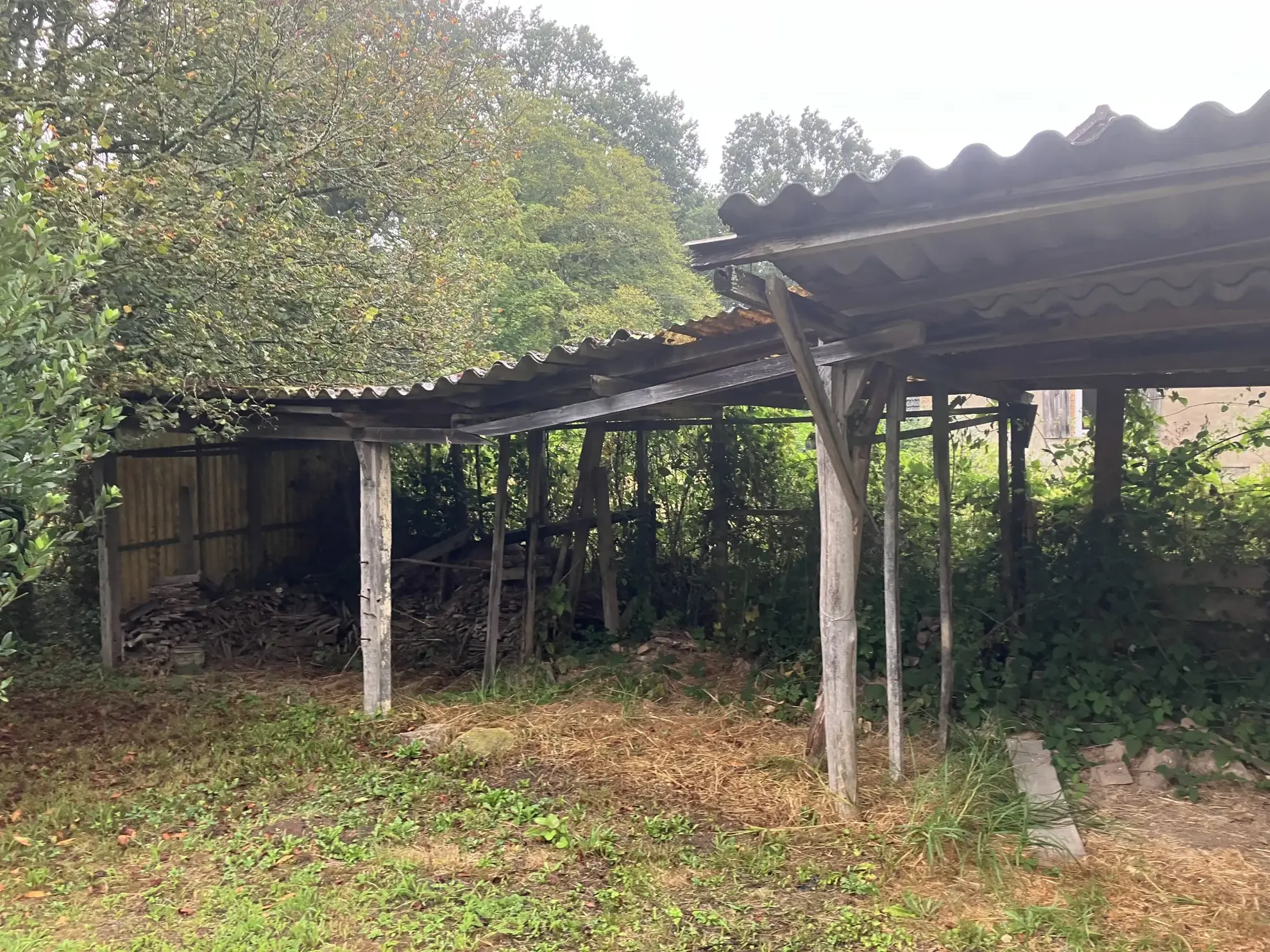 Grande maison à vendre à Trois-Vèvres avec jardin spacieux 