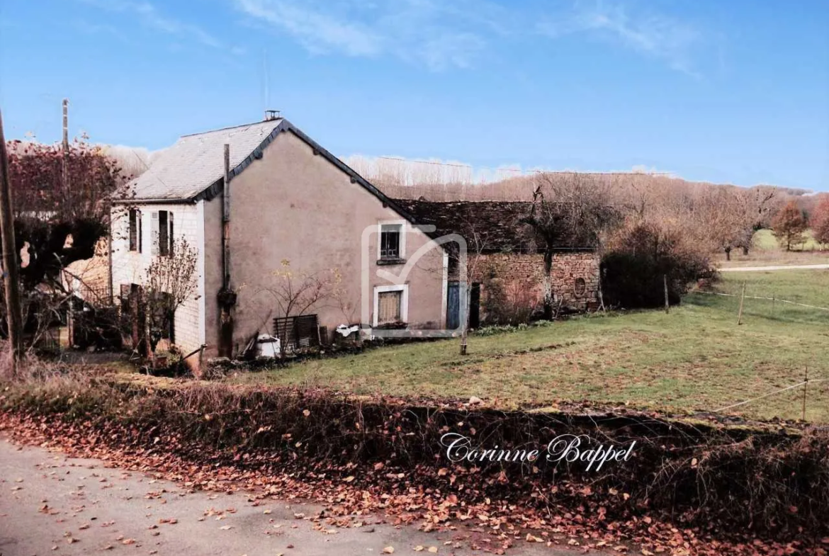 Maison à rénover en campagne à Coulaures 