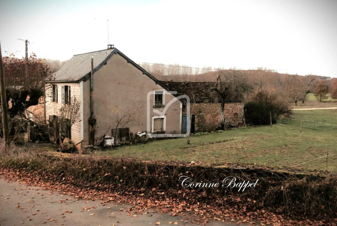 Maison à rénover en campagne à Coulaures 