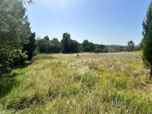 Vente terrain à bâtir à Castres - 6420 m²