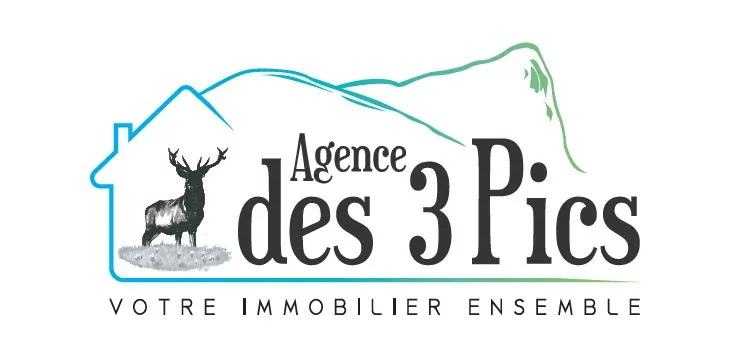 AGENCE  AGENCEDESTROISPICS_1