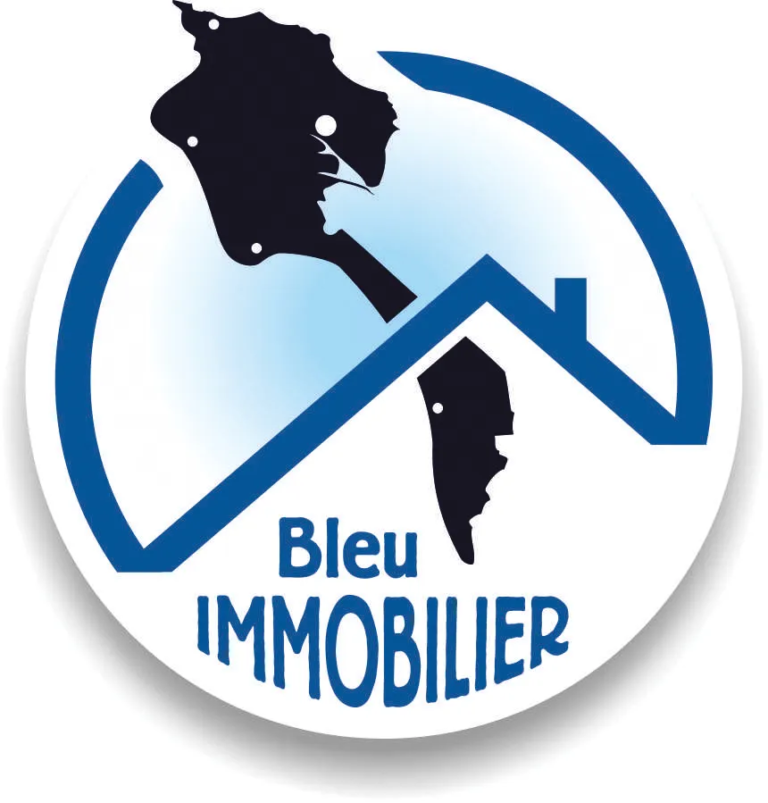 AGENCE  BLEU-IMMO_1