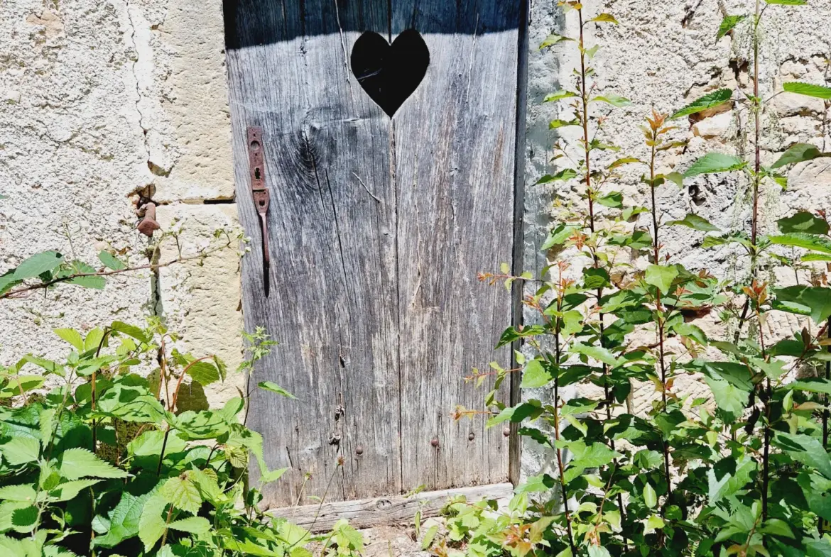 Charmante Maison Vigneronne du 18ème Siècle à Chatillon sur Saône 