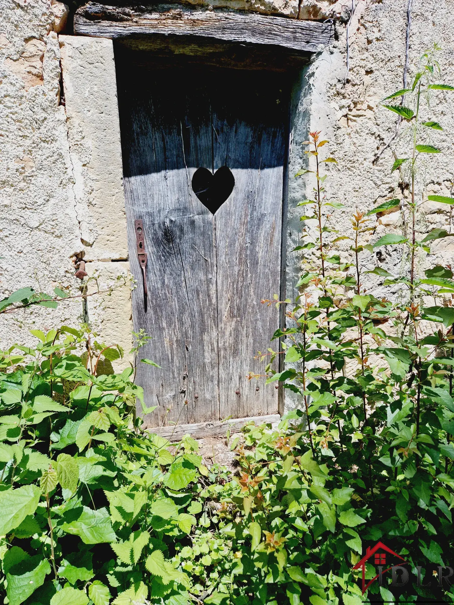 Charmante Maison Vigneronne du 18ème Siècle à Chatillon sur Saône 