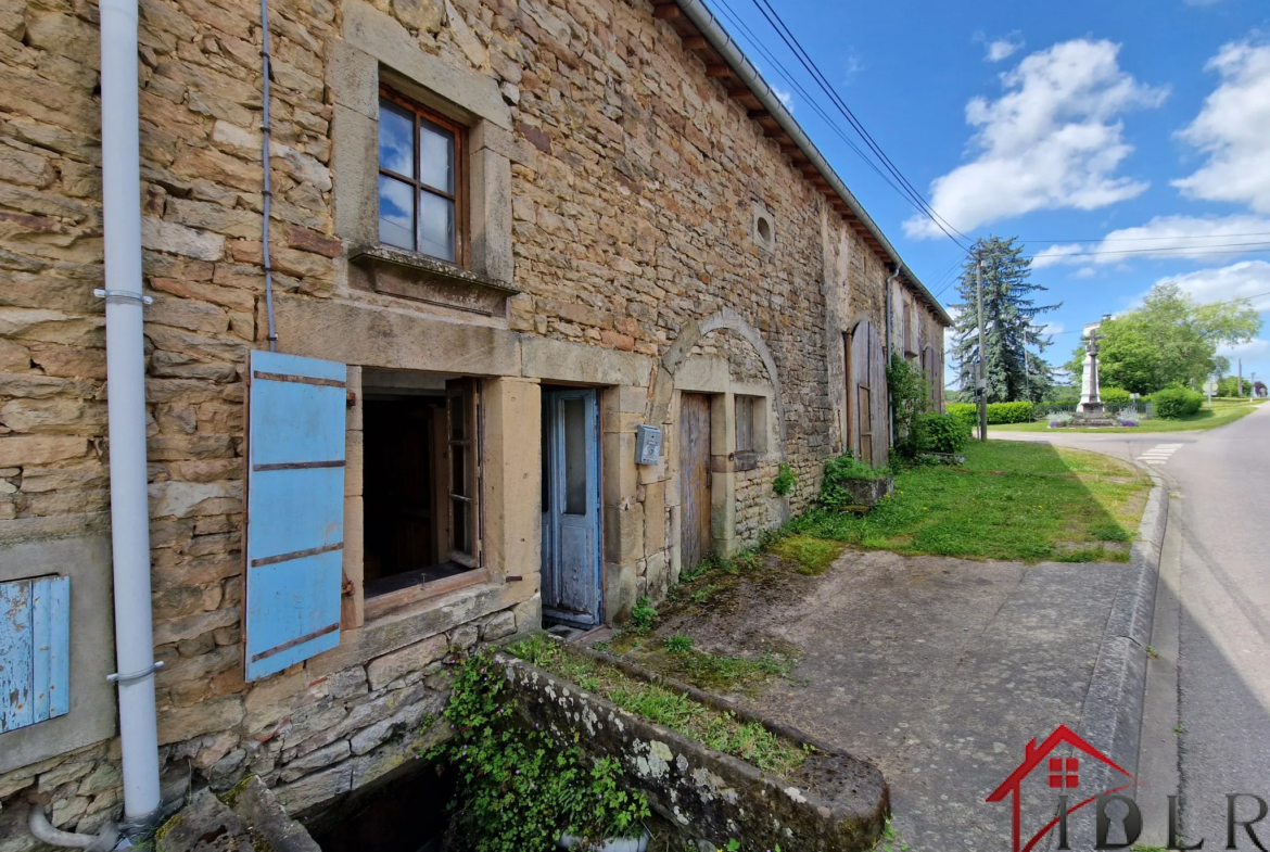 Charmante Maison Vigneronne du 18ème Siècle à Chatillon sur Saône 