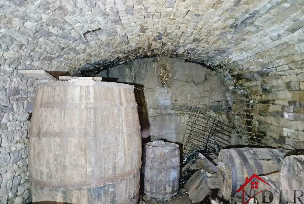 Charmante Maison Vigneronne du 18ème Siècle à Chatillon sur Saône 